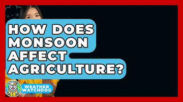How Does Monsoon Affect Agriculture? - Weather Watchdog