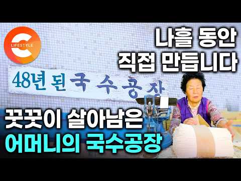다 없어졌는데 이 집만 버텼다. "요즘 세상에 아직도 이렇게 만듭니다" 열풍기 대신 나흘동안 바람으로 말리는 어머니의 국수공장ㅣ#한국기행
