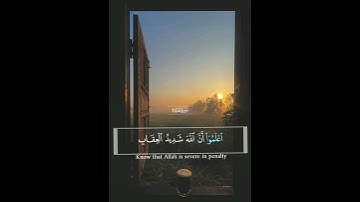 سورة المائدة الآيات{٩٧-١٠٠} #المصحف #quran #اكسبلور #islamicfestival #دويتو #حالات_واتس #راحة_نفسية