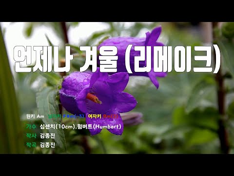 [은성 반주기] 언제나겨울(리메이크) - 십센치(10cm).험버트(Humbert)