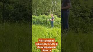 Абиссинская скважина в Агалатово #абиссинскаяскважина #стройка #скважинанаводу #дача #колодец #вода