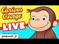  curious george 247 marathon  livestream for kids  cartoons for children 