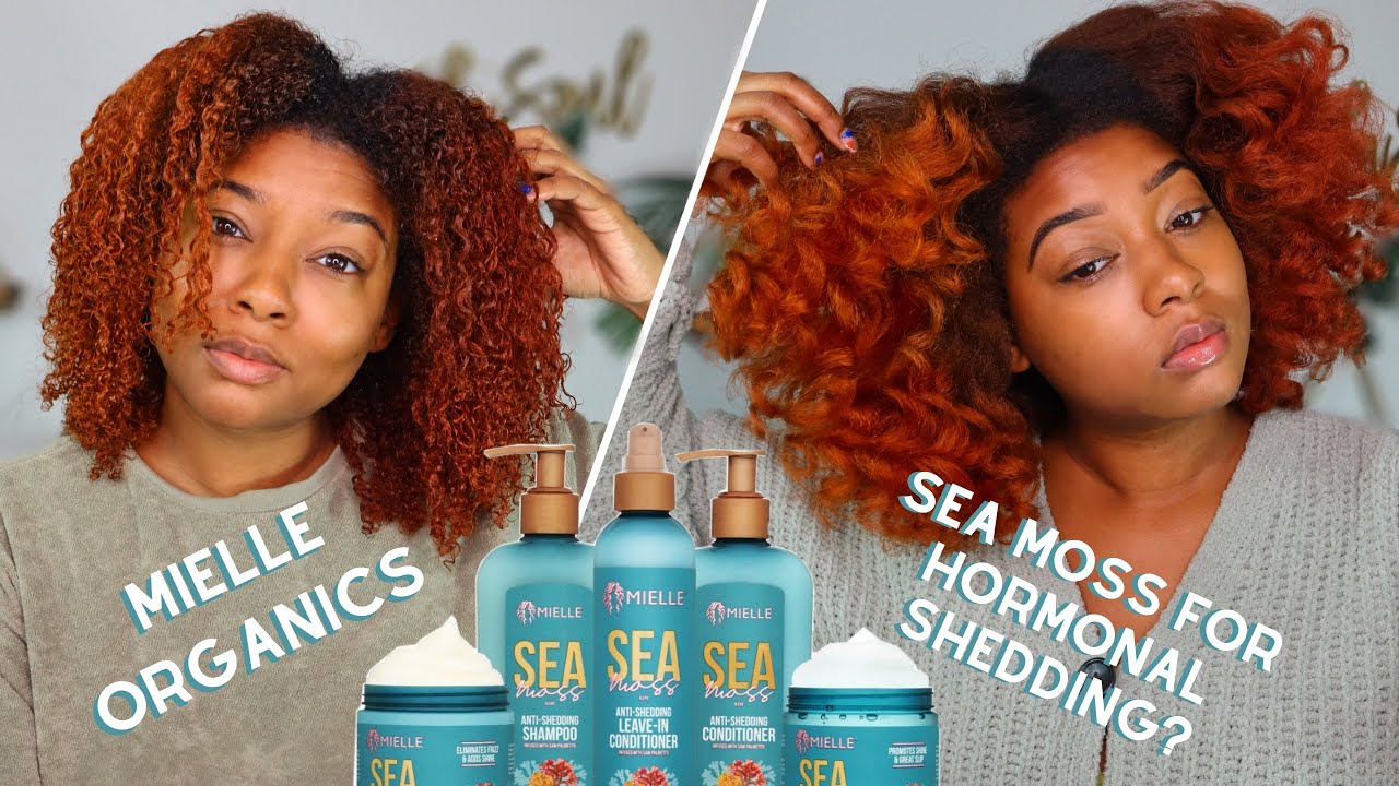 Discover the Benefits of Sea Moss for Hair Care: A Detailed Review