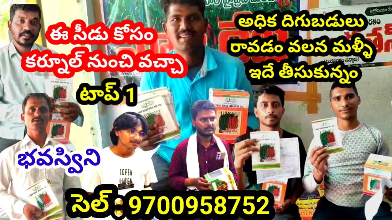 సెల్ : 9700958752 ఈ విత్తనానికి బ్రహ్మరథం పడుతున్నారు|