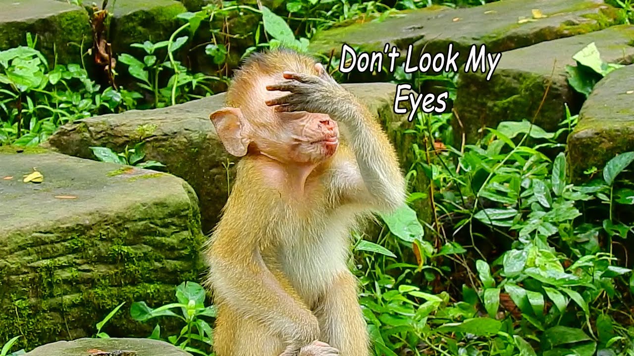 Don't See My Eye! Baby Candy Take Her Hand To Hide Her Both Eyes Cause Shy