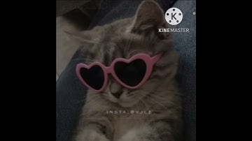 (وانا اخترتك فاستمع لما يوحى) سورة طه من الآية 13 الى الآية 15💗