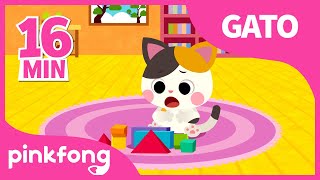 Canciones de Gatos | Bebé Gato y muchas más |  Recopilación | Pinkfong Canciones Infantiles