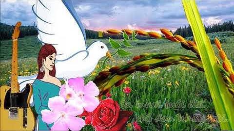 Tình Em Biển Rộng Sông Dài - Thông Đạt - Trình bậy Giang Tử