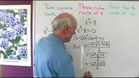 Every real number has N Nth roots.