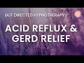 Heal acid reflux  relief from heartburn  gerd  golden elixir ibs hypnosis meditation