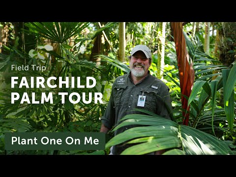 Video: Fairchild Tropical Botanic Garden: Der vollständige Leitfaden