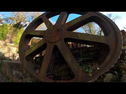 Luxulyan Valley Woods