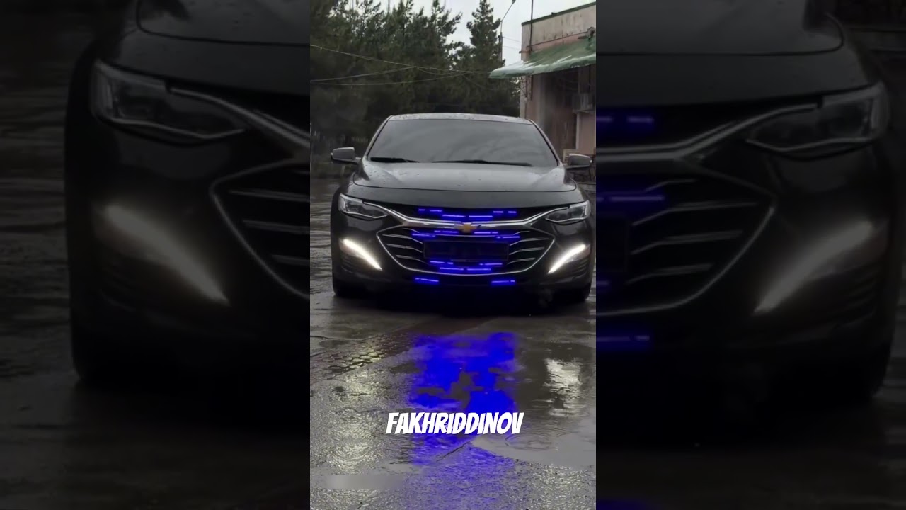 #malibu #qora #akula#obuna_bolishni_unutmang #youtubeshorts #rek #reels #instagram #car #supercars