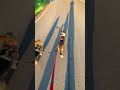 Pieski corgi w porannym słońcu #psy #corgi #welshcorgi #szort #cute #spacer #youtubeshorts