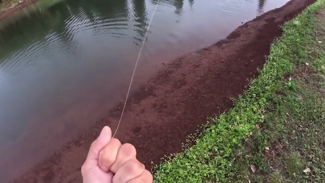 bass fishing before school