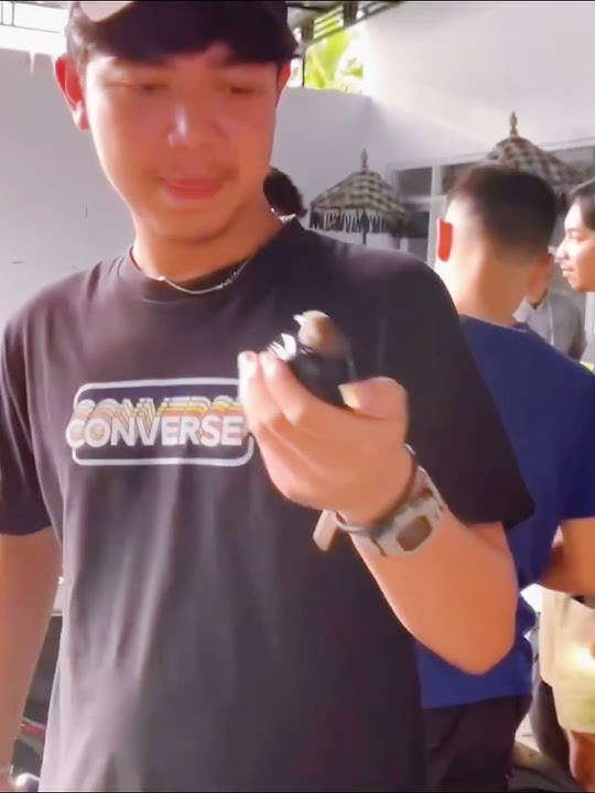 SO SWEET! Entul GWSM Cium Kucing Imut Ini! 🐦😍