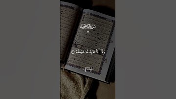 سورة الكافرون #سورة_الكافرون #القرآن_الكريم #قرآن