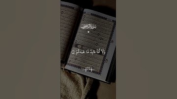 سورة الكافرون #سورة_الكافرون #القرآن_الكريم #قرآن