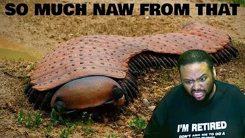 10 Dangerous Animals You Should Run Away From | Reaction