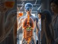 🔥 ¿Grasa abdominal que no desaparece? Elimina la grasa abdominal con esta bebida secreta 🔥