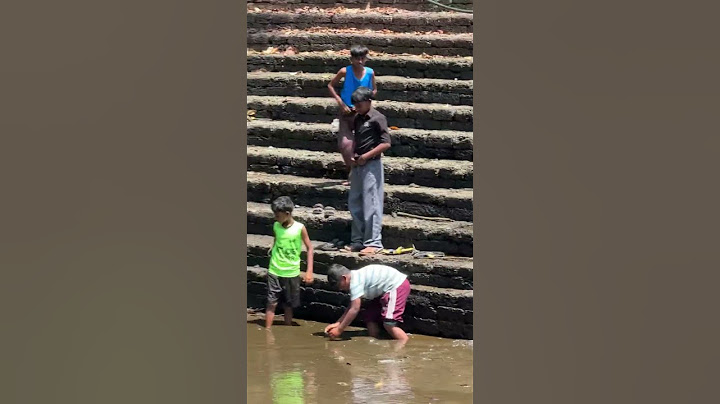 10 വർഷമായി മീൻ പിടിക്കാത്ത പുതിയങ്ങാടി പള്ളിക്കുളത്തിലെ മീൻ വേട്ട #fishing #fishingvideo