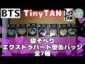 【BTS】TinyTAN　寝そべり　エクストラハート型缶バッジ　全7種【コンプリート】【プライズ】