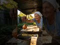 Почему мельчают тюльпаны и когда выкапывать луковицы летом #тюльпаны #садоводство #цветы