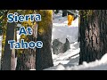 PERFECT POWDER DAY at Sierra At Tahoe! (2021)