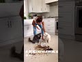 Dog and cat fight for food #sora #foryou #viral #ai