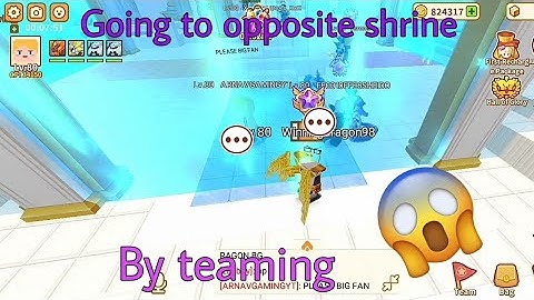 Going to opposite locked shrine by teaming in trainers arena || blockman go || winningdragon bg ||