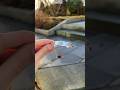 How To Make A Bracelet Engraving Bracelet Sheikhen Xtoolf1 