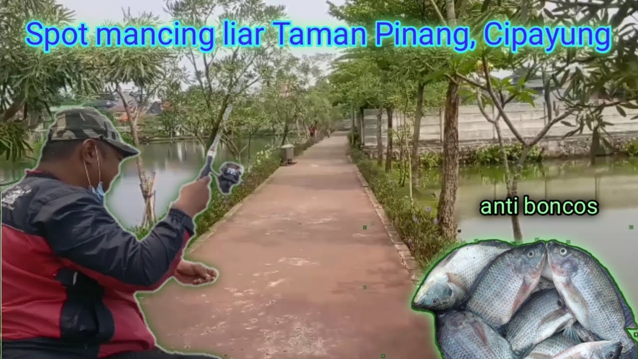 spot mancing liar taman pinang cipayung jakarta timur