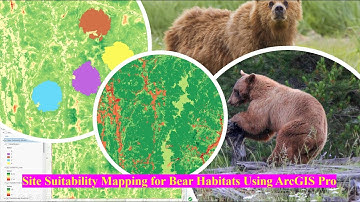 Site Suitability Mapping for Bear Habitats Using ArcGIS Pro