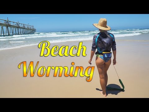 Beach Worming - how to catch beach worms