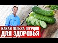 Польза огурцов🥒. Как употреблять огурцы для максимальной пользы