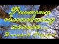 Стихотворение &quot;Расскажи облетевшему тополю...&quot; - Дмитрий Фёдоров