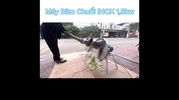Máy Thái Chuối INOX Cửa Đứng Siêu Mịn -  Cắt Chuối Nguyên Cây - Cỏ Voi. Động Cơ 1,5kW Dây Đồng 100%