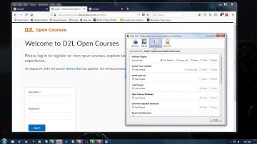 Understanding the Web Address Browser Basics 1