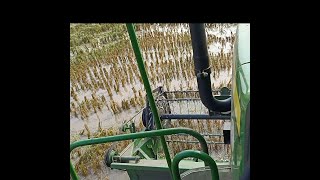 Harvesting In Water Paddy Cutting 4X4 Wheeler