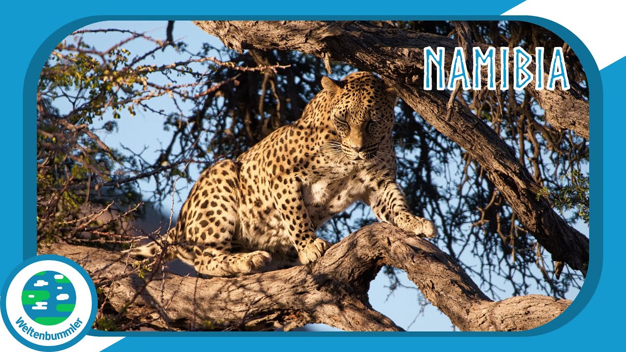 (2/3) Mit Gebeco nach Namibia - Atlantik, Dünen und wilde Tiere