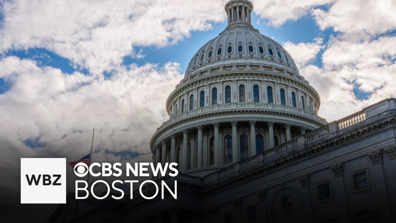 Senate passes bill to end government shutdown - YouTube