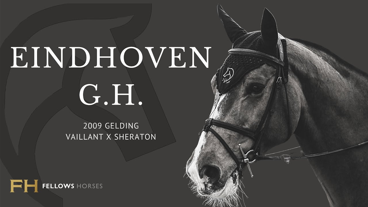 Eindhoven G.H - Chad Fellows / Fellows Horses - Oliva Nova CSI2* 1.45m