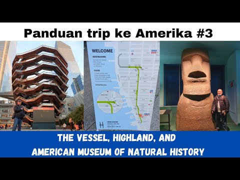 Video: Panduan ke Muzium Sejarah Alam Amerika di NYC