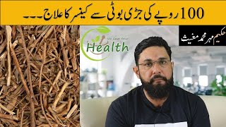 dhamasa boti ke fayde or benefits or side effects in urdu & hindhi