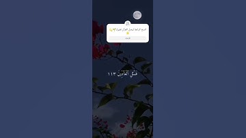 القرآن الكريم تلاوة هادئة تحفيز للدراسة #القرآن_الكريم ♥️♥️💫
