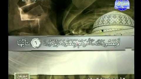 سورة التحريم ــ توفيق الصائغ