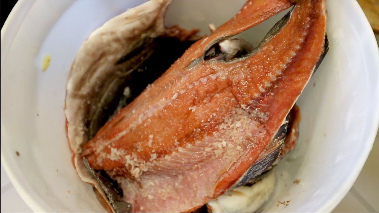 Her serverer de syv år gammel fisk