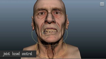 FACS based Facial Rigging