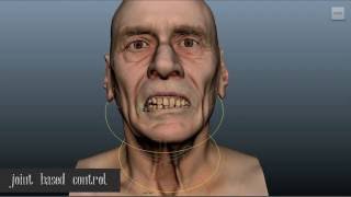 FACS based Facial Rigging