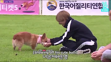 Kim Taehyung with dog Chopa a compilation - bts run ep 23